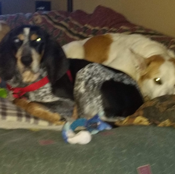 Meet your Posher, Nelson j. - Picture 4 of 4